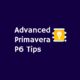 Primavera P6 Advanced Tips